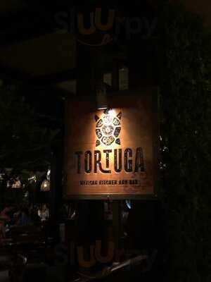 ‪tortuga‬