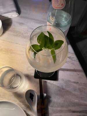 ‪maiden Shanghai‬