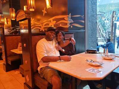 ‪the Cheesecake Factory‬