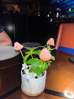 ‪carnival By Tresind‬