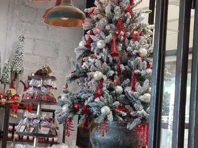 ‪the Lime Tree Cafe & Kitchen Jumeirah‬