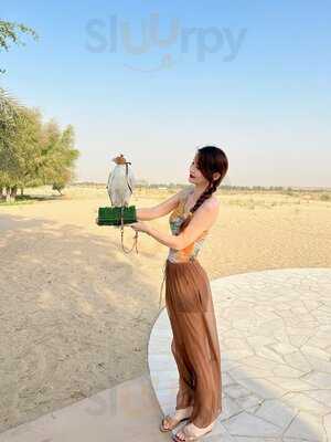 ‪bab Al Shams Dining & Bars‬