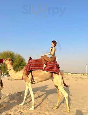 ‪bab Al Shams Dining & Bars‬
