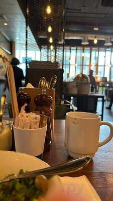 ‪masterchef, The Tv Experience Restaurant‬