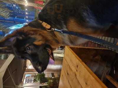 ‪counter Culture Café‬