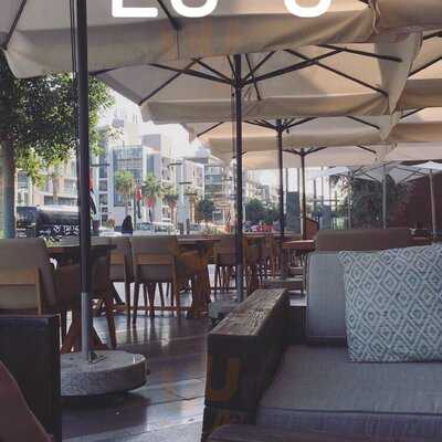 ‪saladicious Jumeirah‬