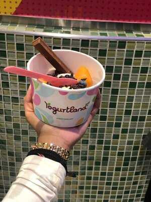 ‪yogurtland‬