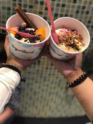 ‪yogurtland‬