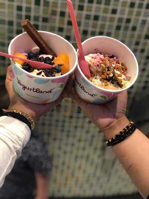 ‪yogurtland‬