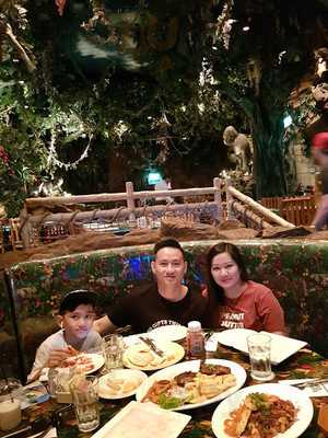 ‪rainforest Cafe‬