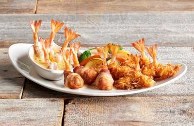 ‪rainforest Cafe‬