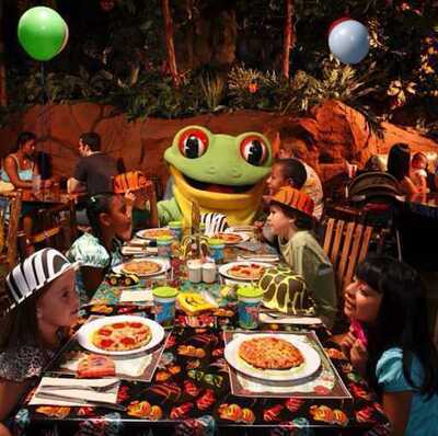 ‪rainforest Cafe‬
