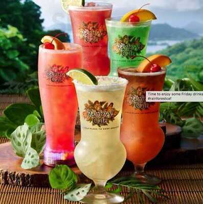 ‪rainforest Cafe‬