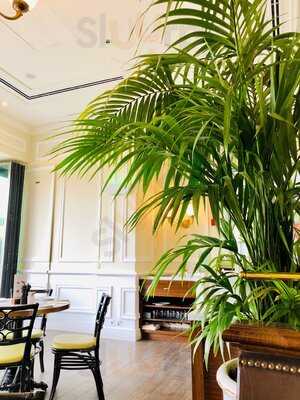 ‪bouchon Bakery‬