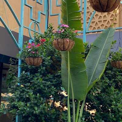 ‪bakemart Gourmet Restaurant & Cake Shop, Jumeirah‬