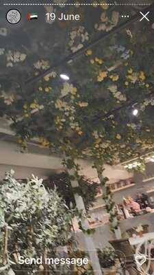 ‪secret Garden By L'eto‬