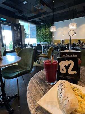 ‪the Lime Tree Cafe & Kitchen‬