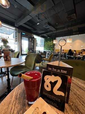 ‪the Lime Tree Cafe & Kitchen‬