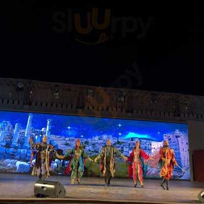 ‪qasr Al Sultan‬