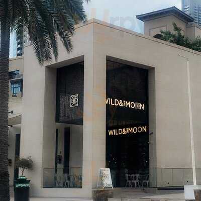 ‪wild And The Moon‬