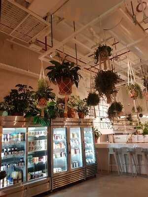 ‪wild And The Moon‬