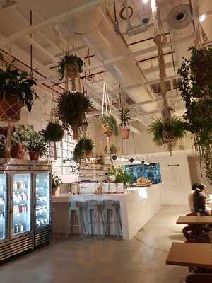 ‪wild And The Moon‬