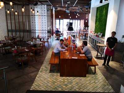 ‪fuchsia Urban Thai‬