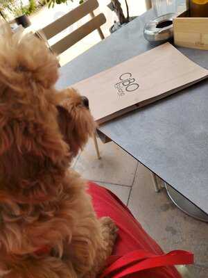 ‪cibo Italiano Restaurant‬