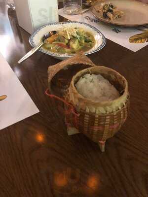 ‪the Yellow Monkey‬