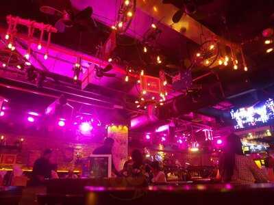 ‪headlines Cafe‬