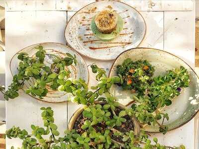 ‪little Erth By Nabz&g‬