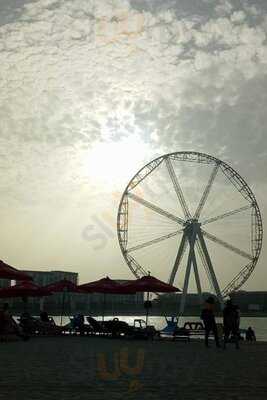 ‪chicks N' Friends‬