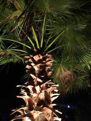 ‪tirquaz Bistro‬