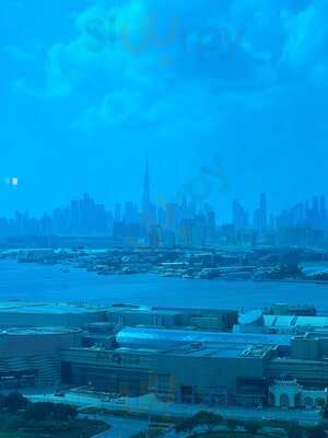 ‪joe's Backyard‬