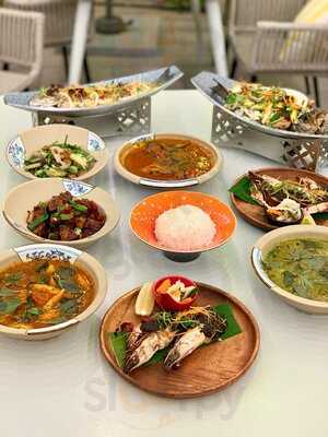 ‪the Yellow Monkey‬