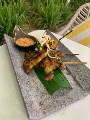 ‪the Yellow Monkey‬