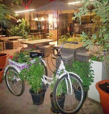 ‪wolf & Friends Lounge‬