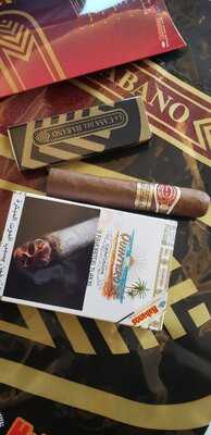 ‪la Casa Del Habano‬