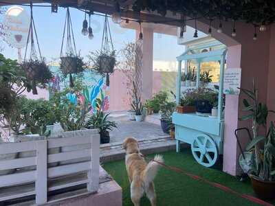 ‪tania’s Teahouse‬