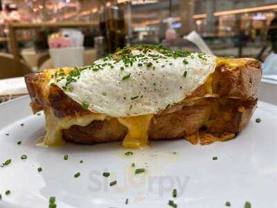 ‪gf Ferre Chocolate Bar‬