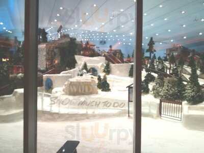 The Cheesecake Factory