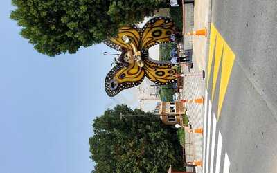 ‪dubai Butterfly Garden‬