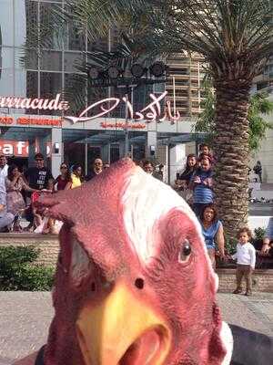 ‪barracuda Restaurant‬