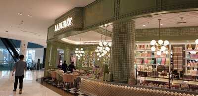 ‪laduree‬