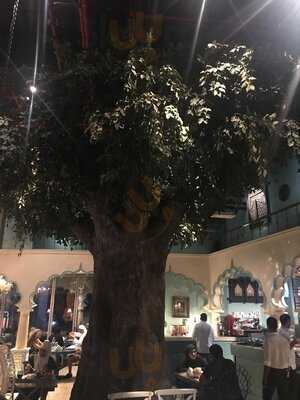 ‪house Of Curry‬