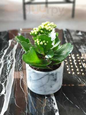 ‪the Piazza Lounge‬