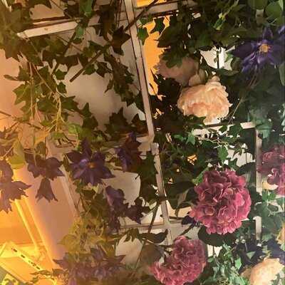 ‪secret Garden By L'eto‬