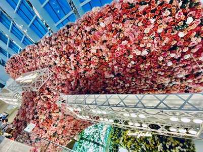 ‪secret Garden By L'eto‬