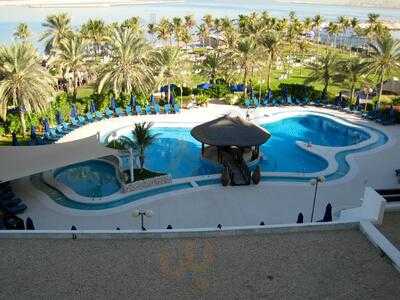 ‪palmito Pool Bar‬