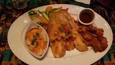 ‪rainforest Cafe‬